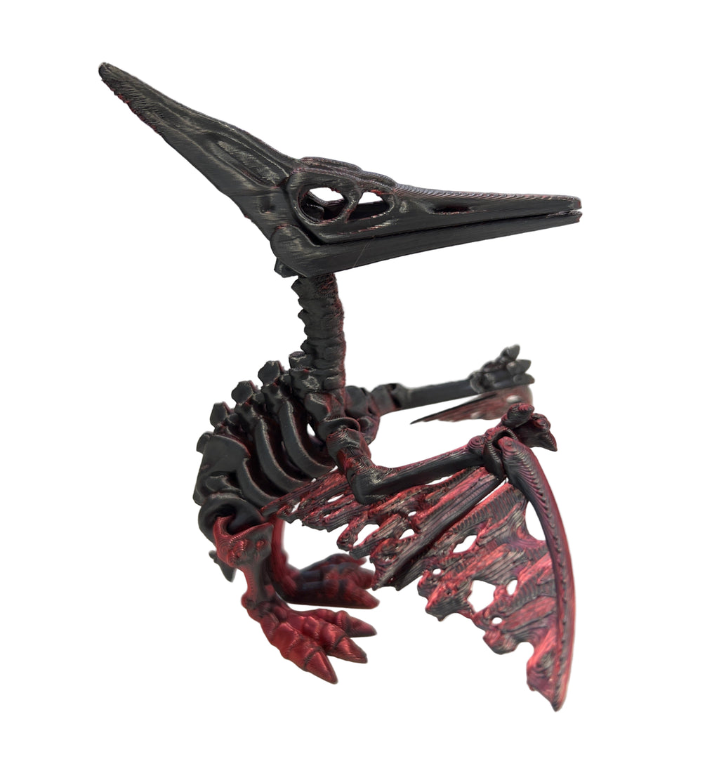 Skeleton Pterodactyl