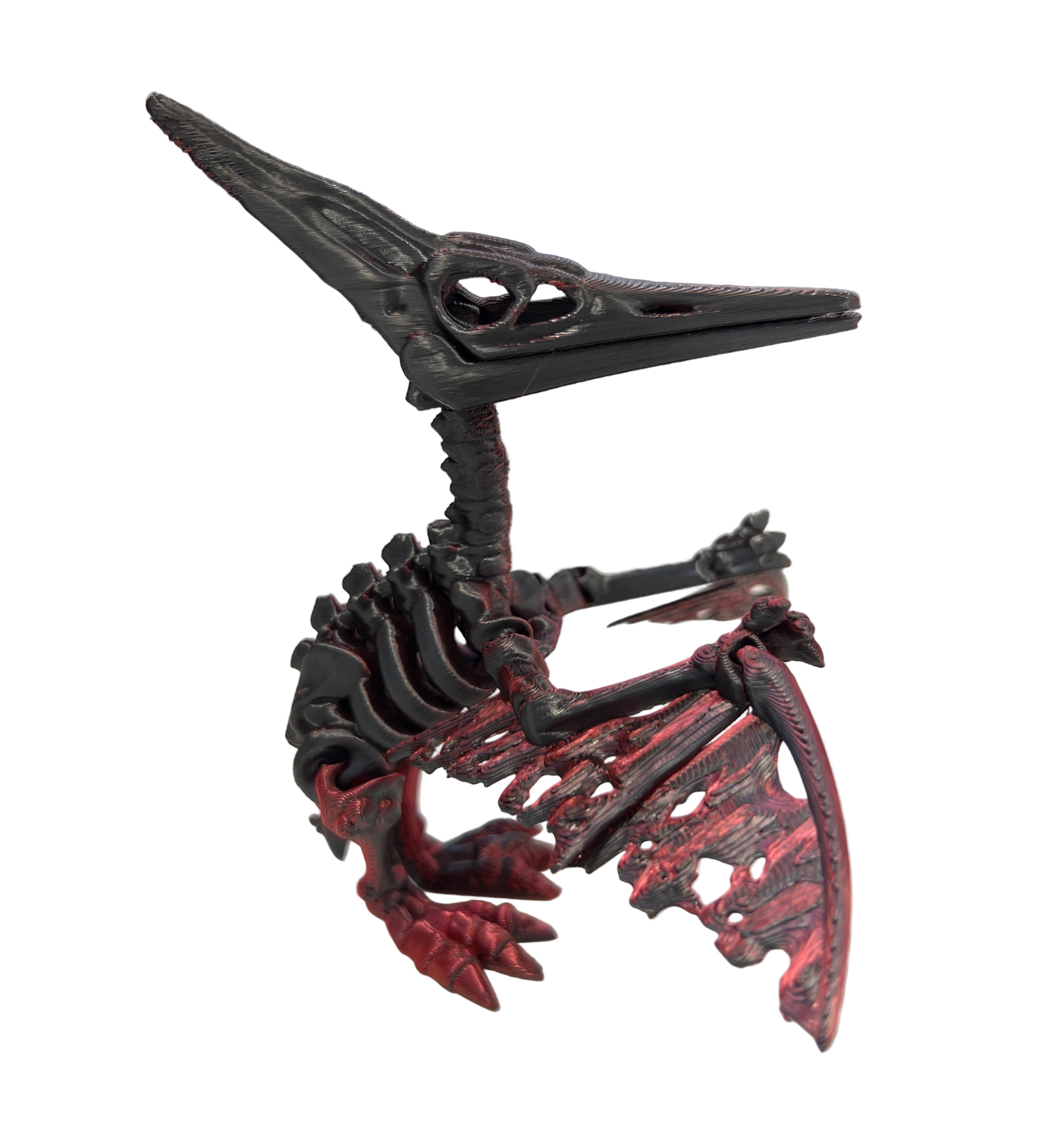 Skeleton Pterodactyl