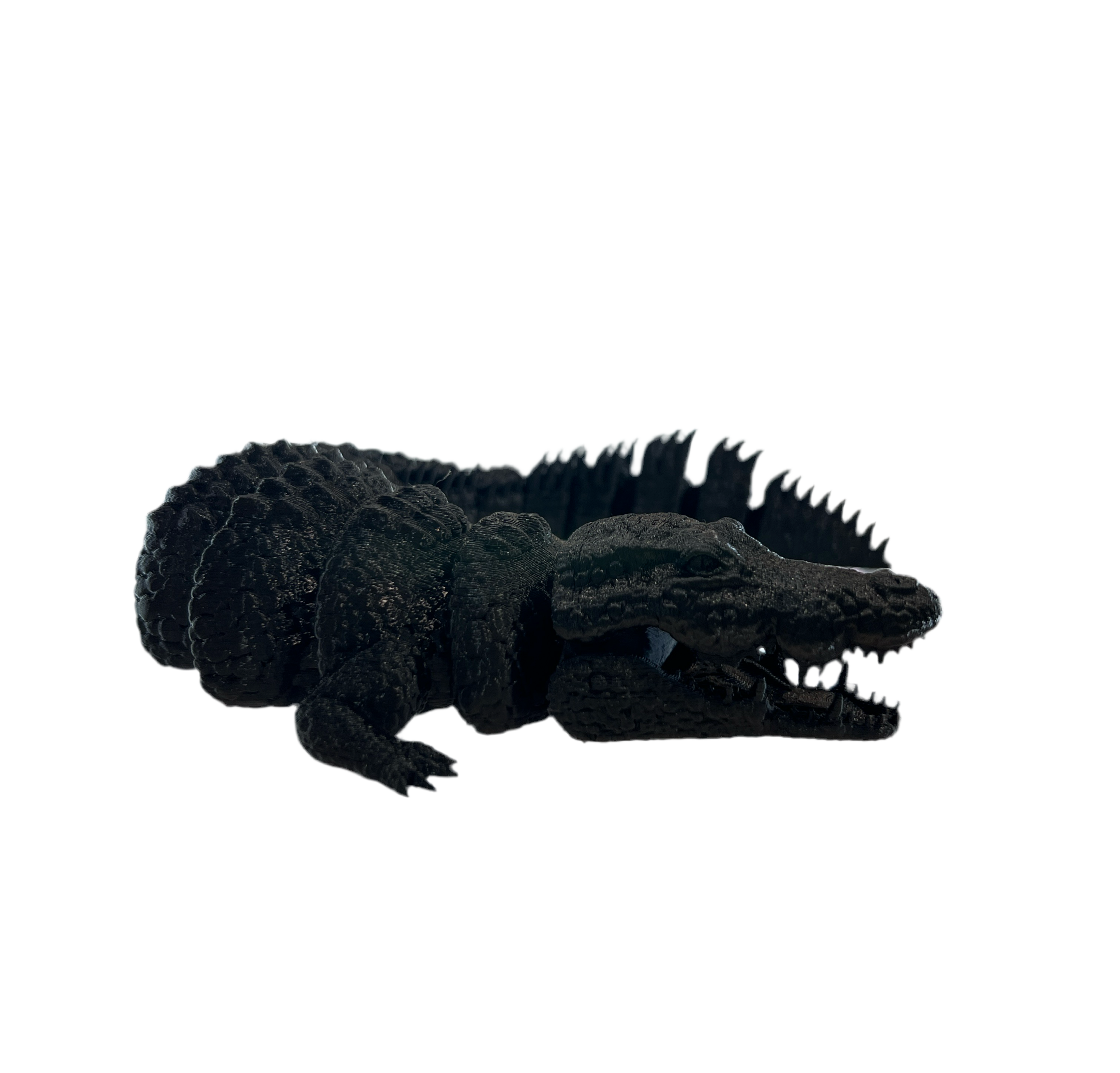 Crocodiles