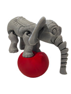 Circus Elephant
