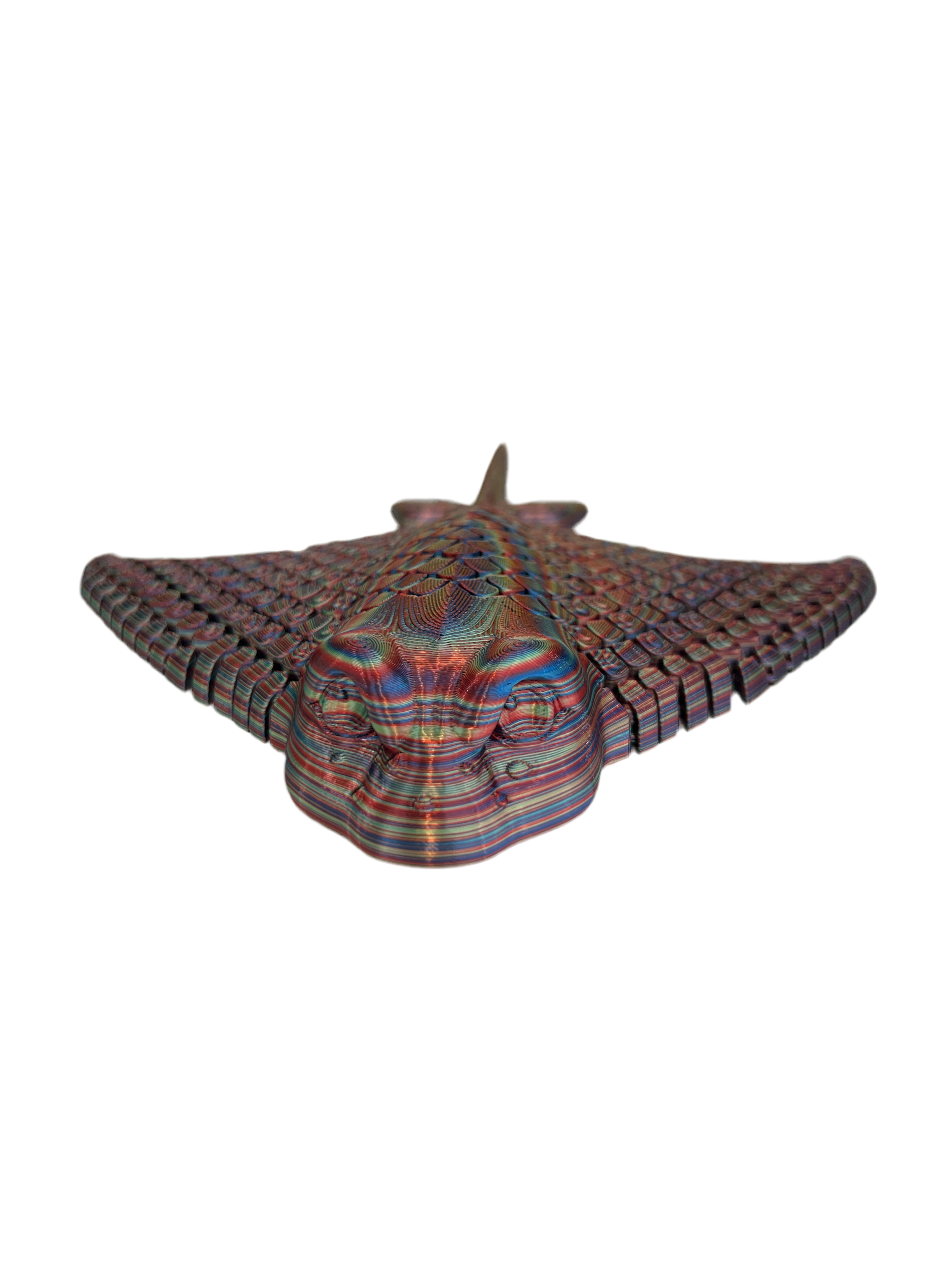 Stingrays (Large)