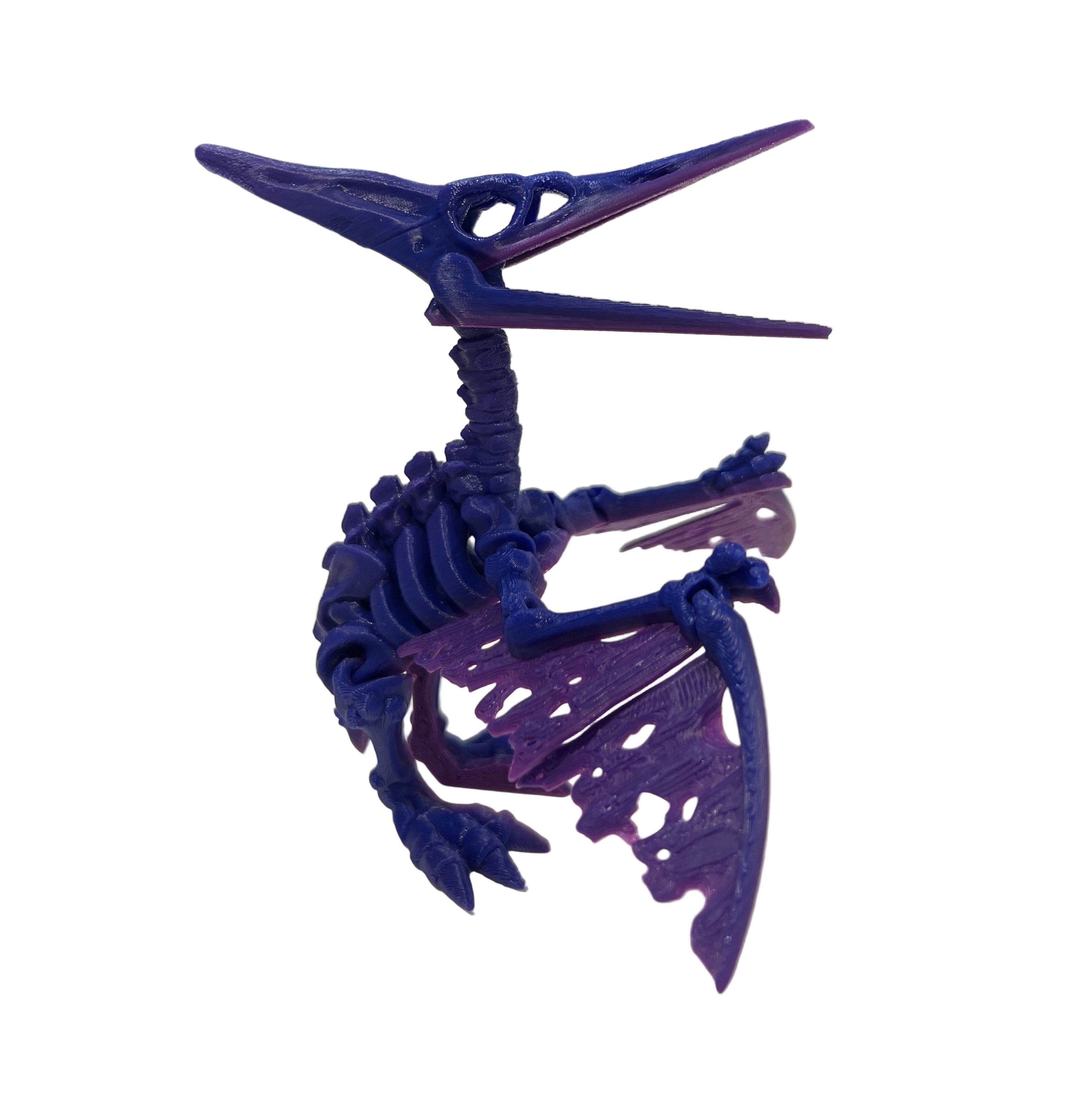 Skeleton Pterodactyl