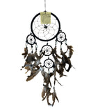 Dream Catchers - Shell