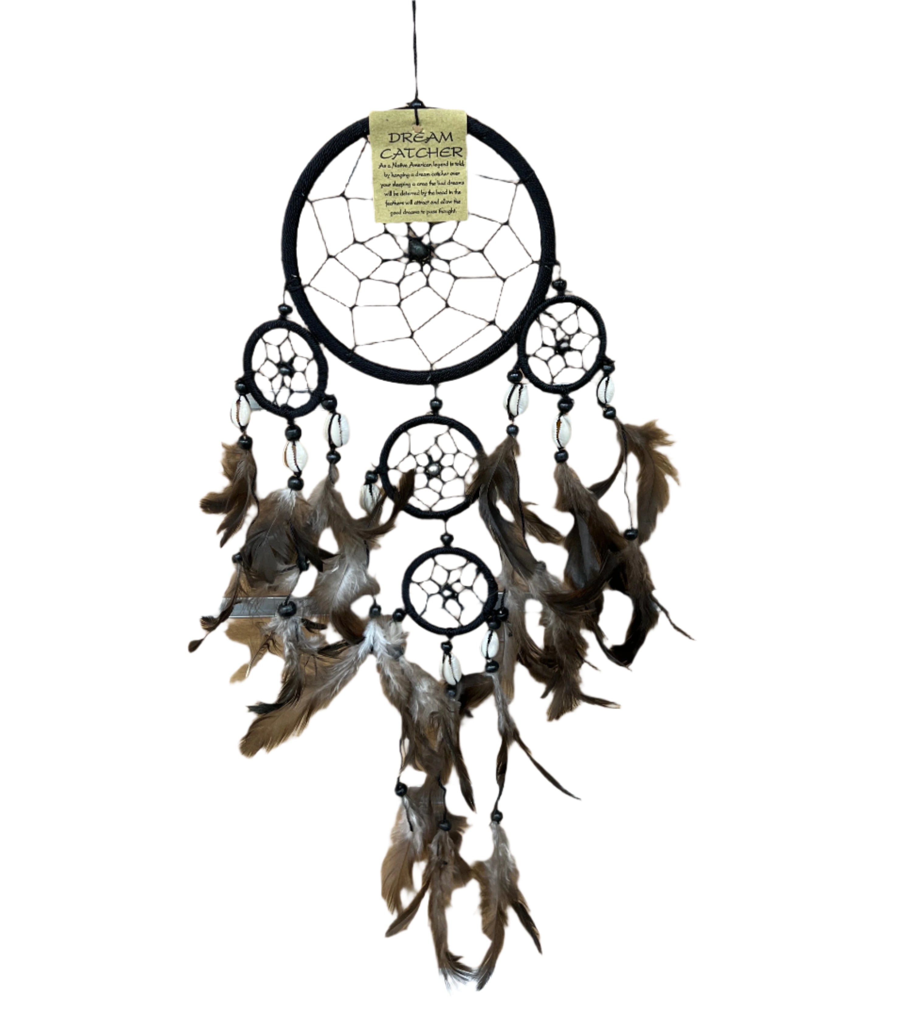 Dream Catchers - Shell