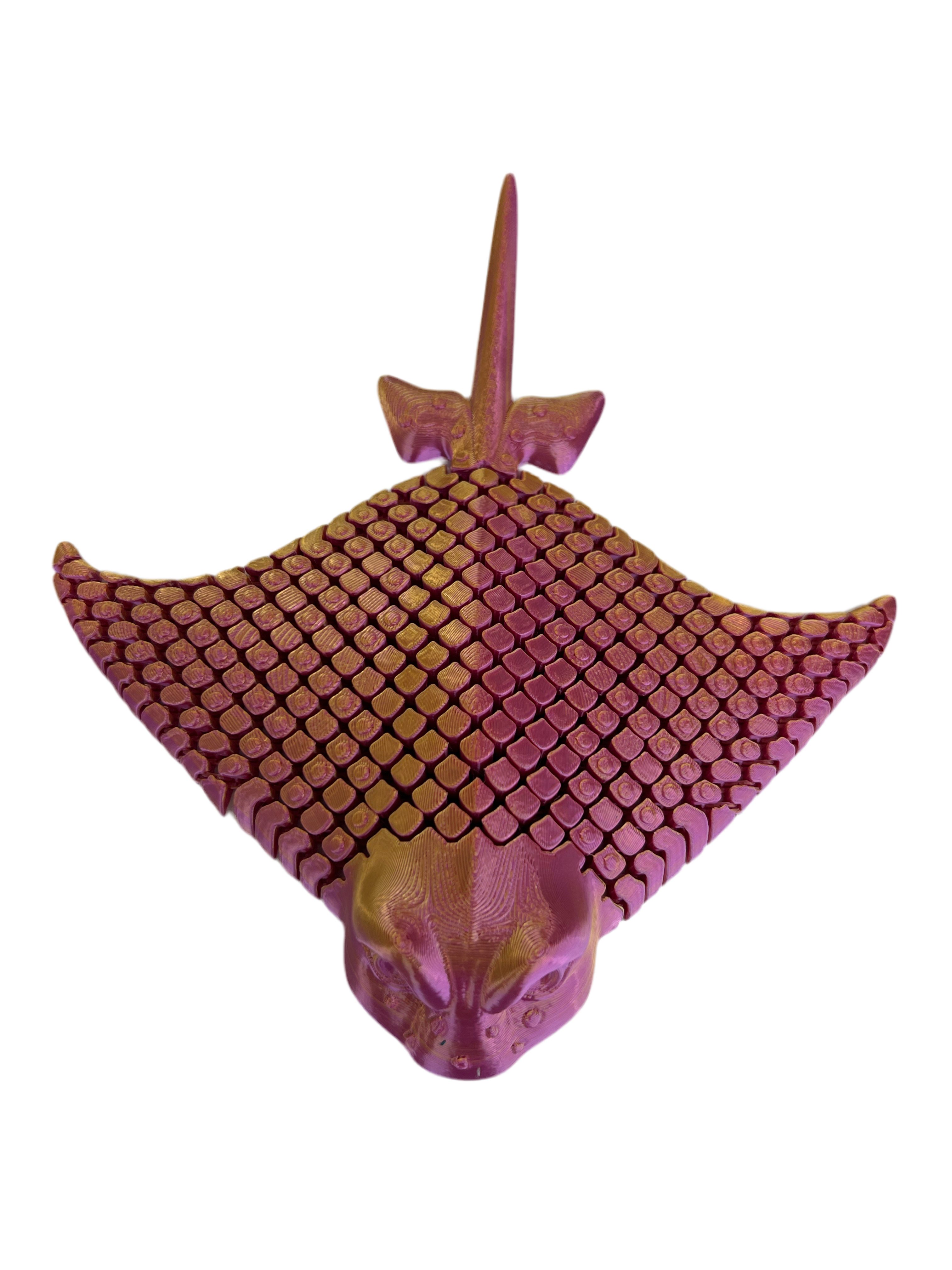 Stingrays (Large)