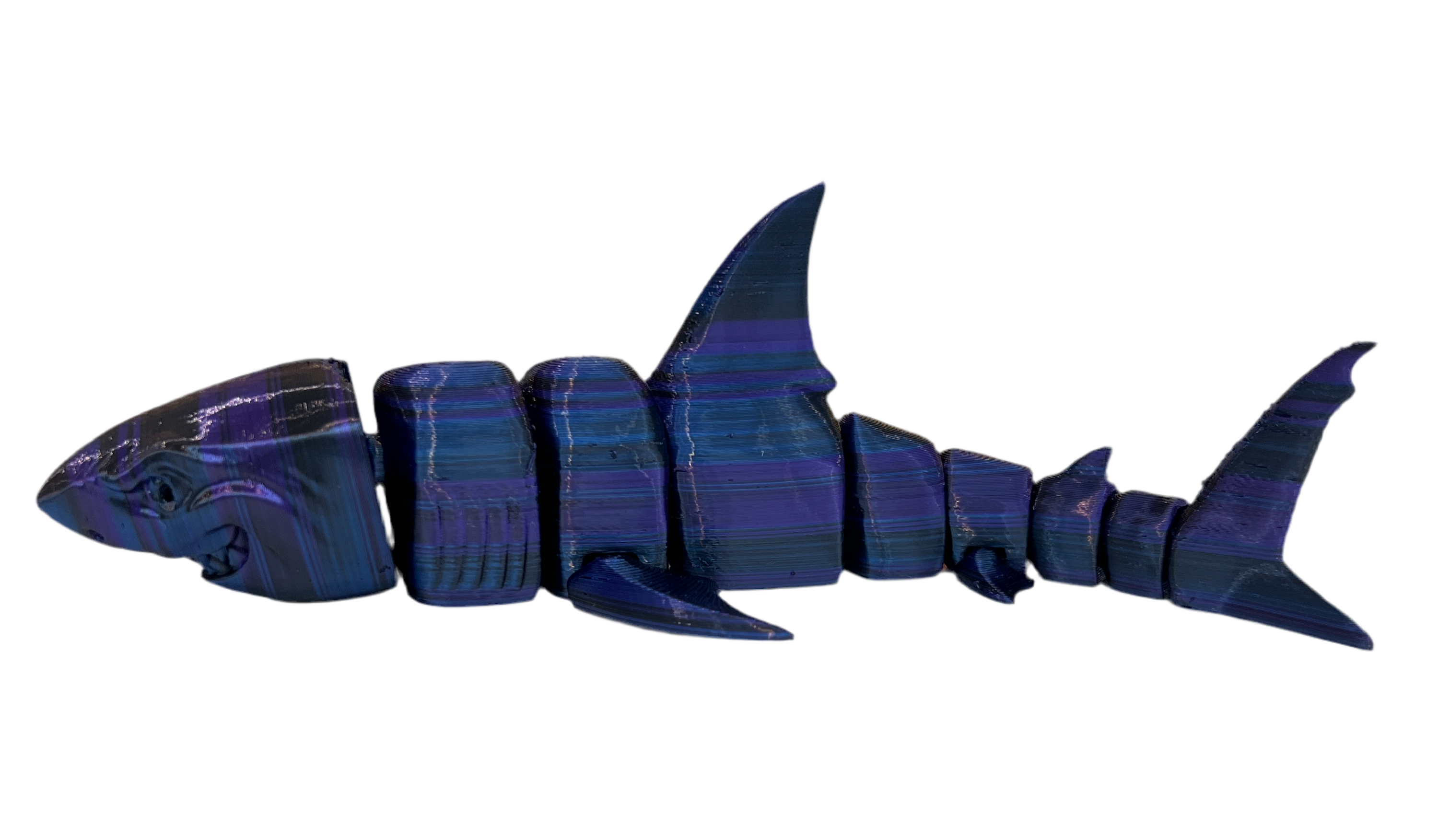 Great White Sharks