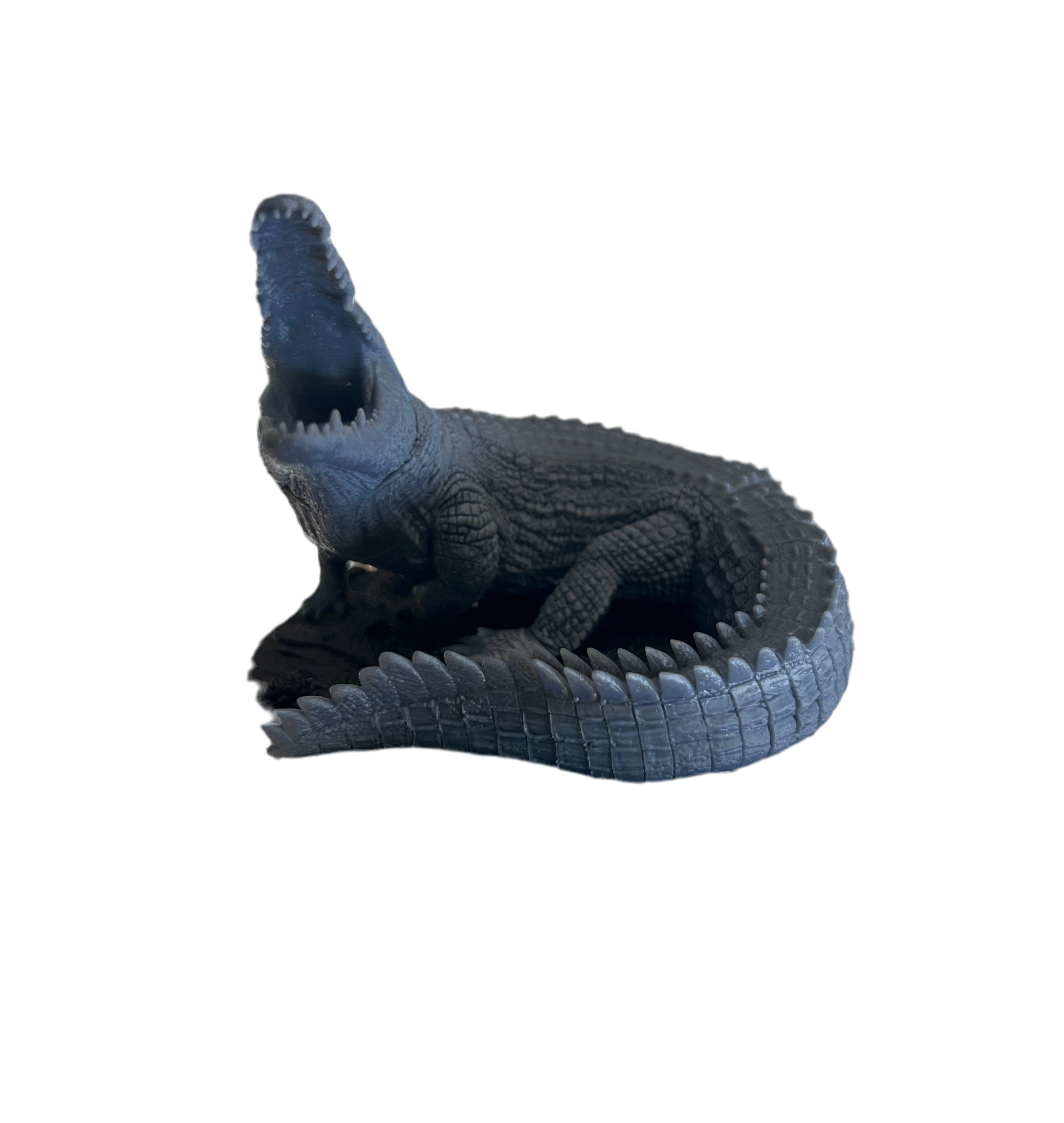 Swamp Crocodile
