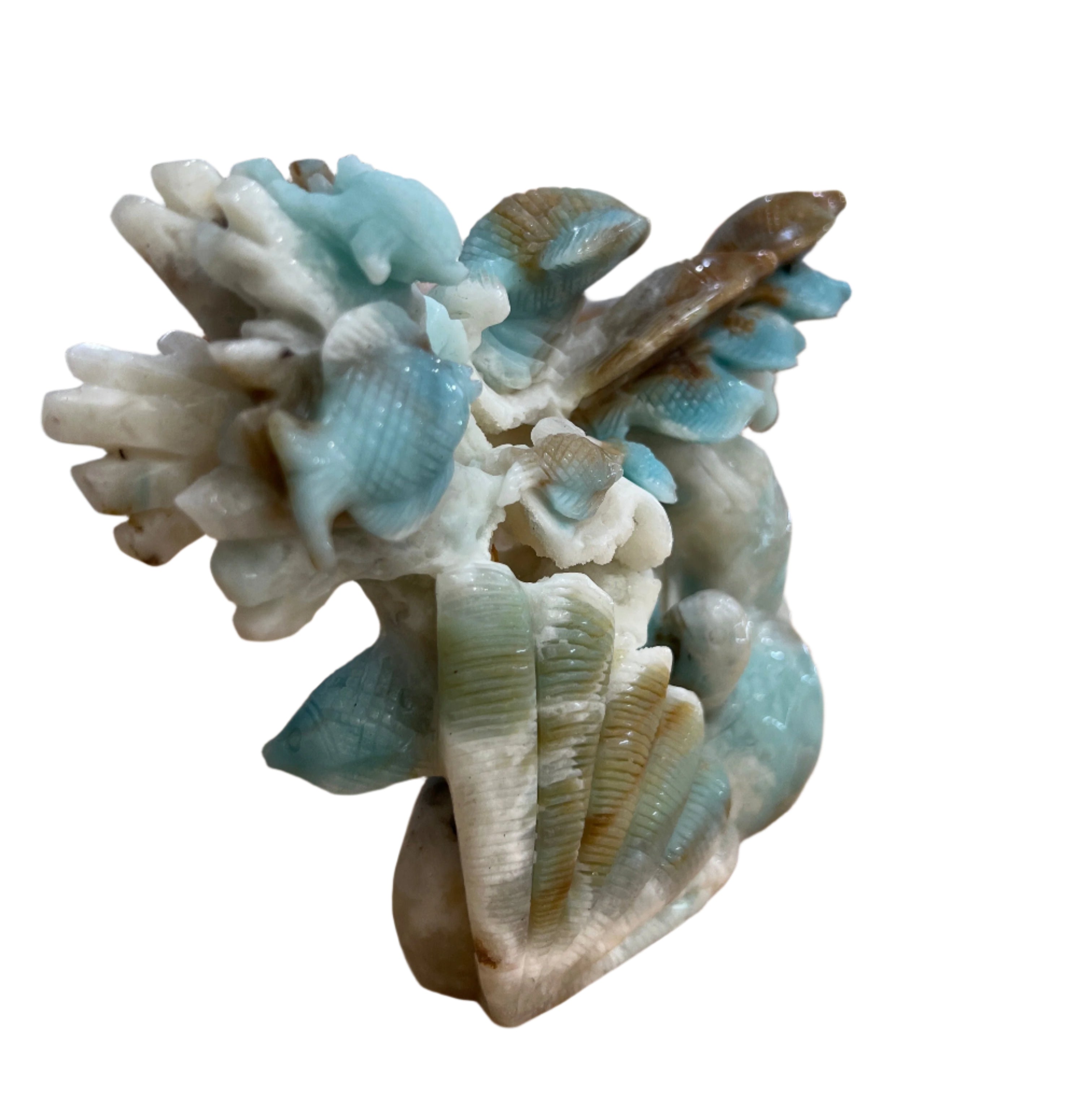 Caribbean Calcite Fish with Coral