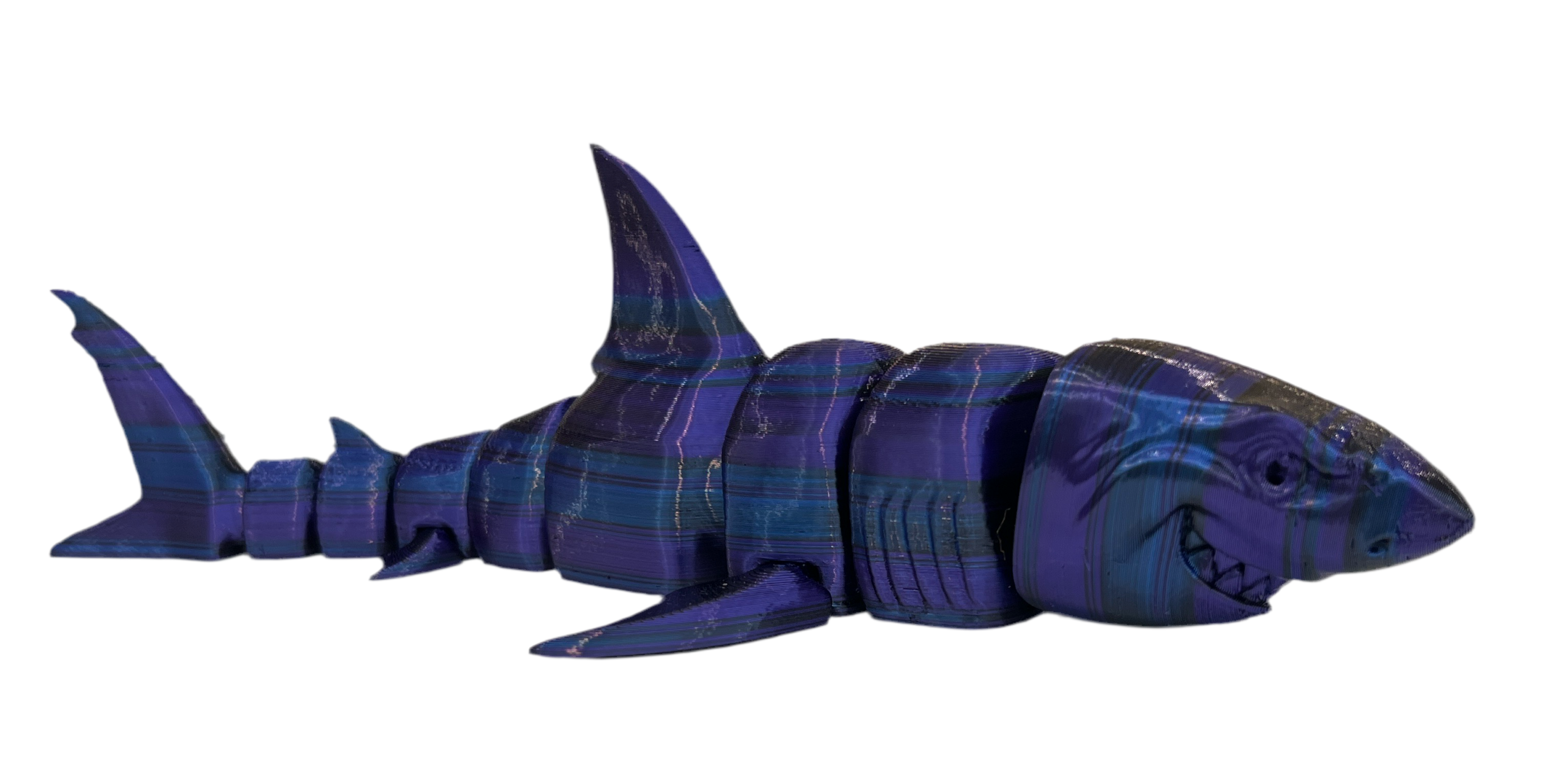 Great White Sharks