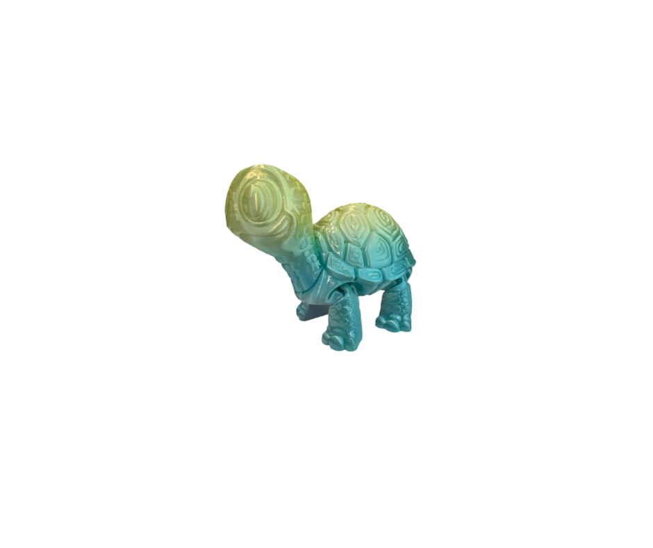 Cute Turtles