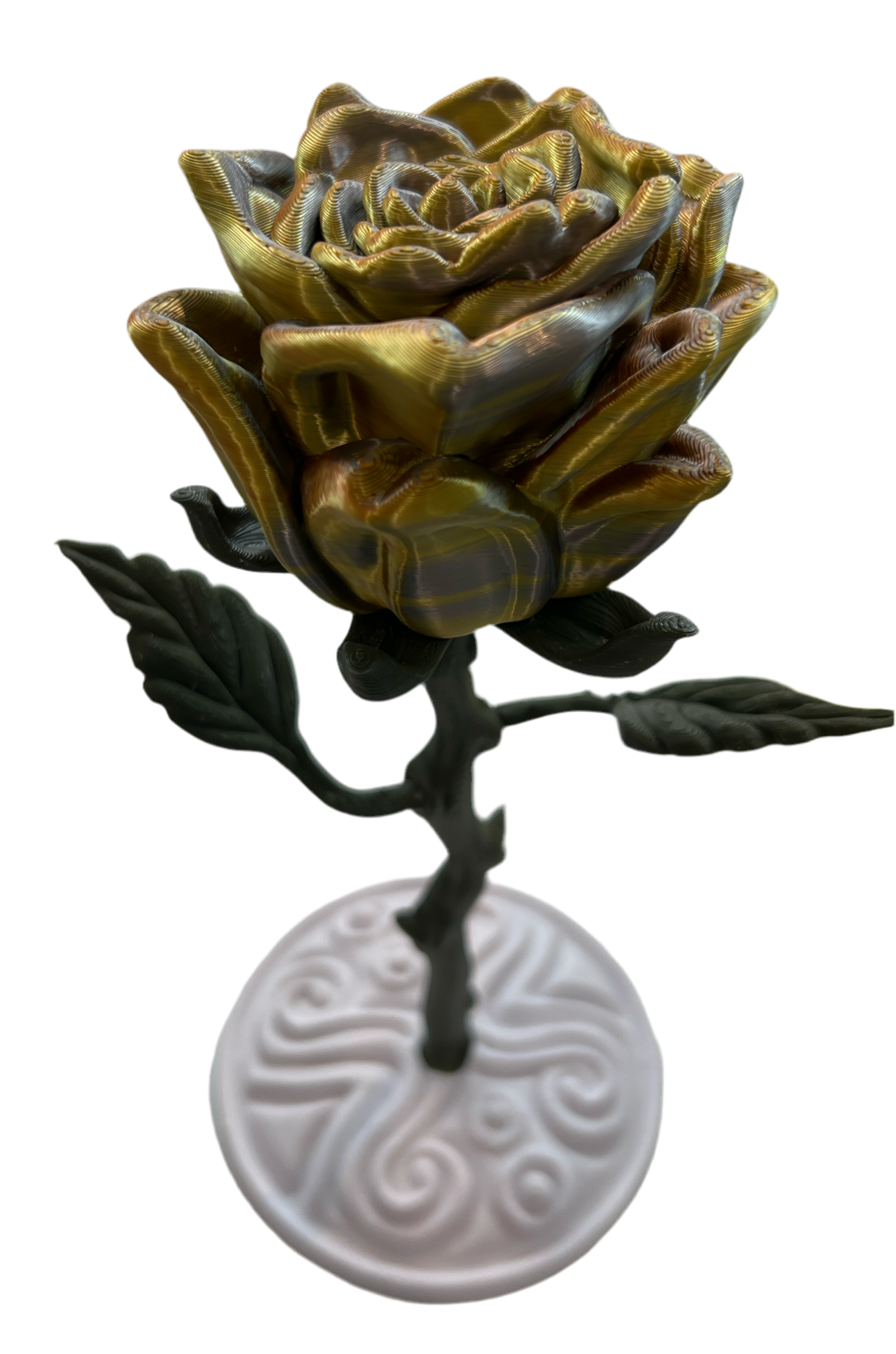 Valentines Roses