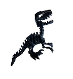 Raptor Skeleton