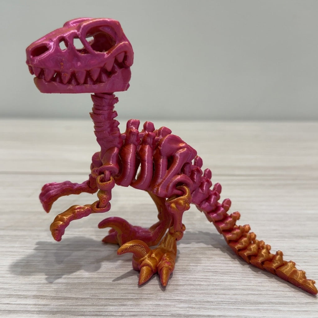 Skeleton Raptors - Small