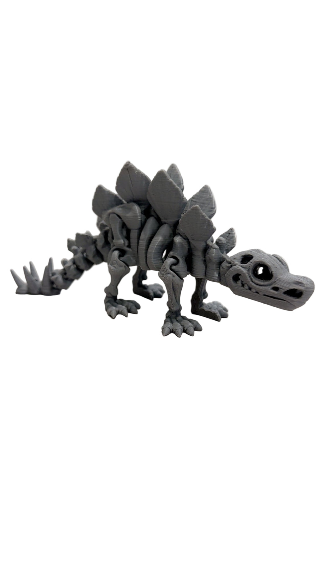 Skeleton Stegosaurus - Small