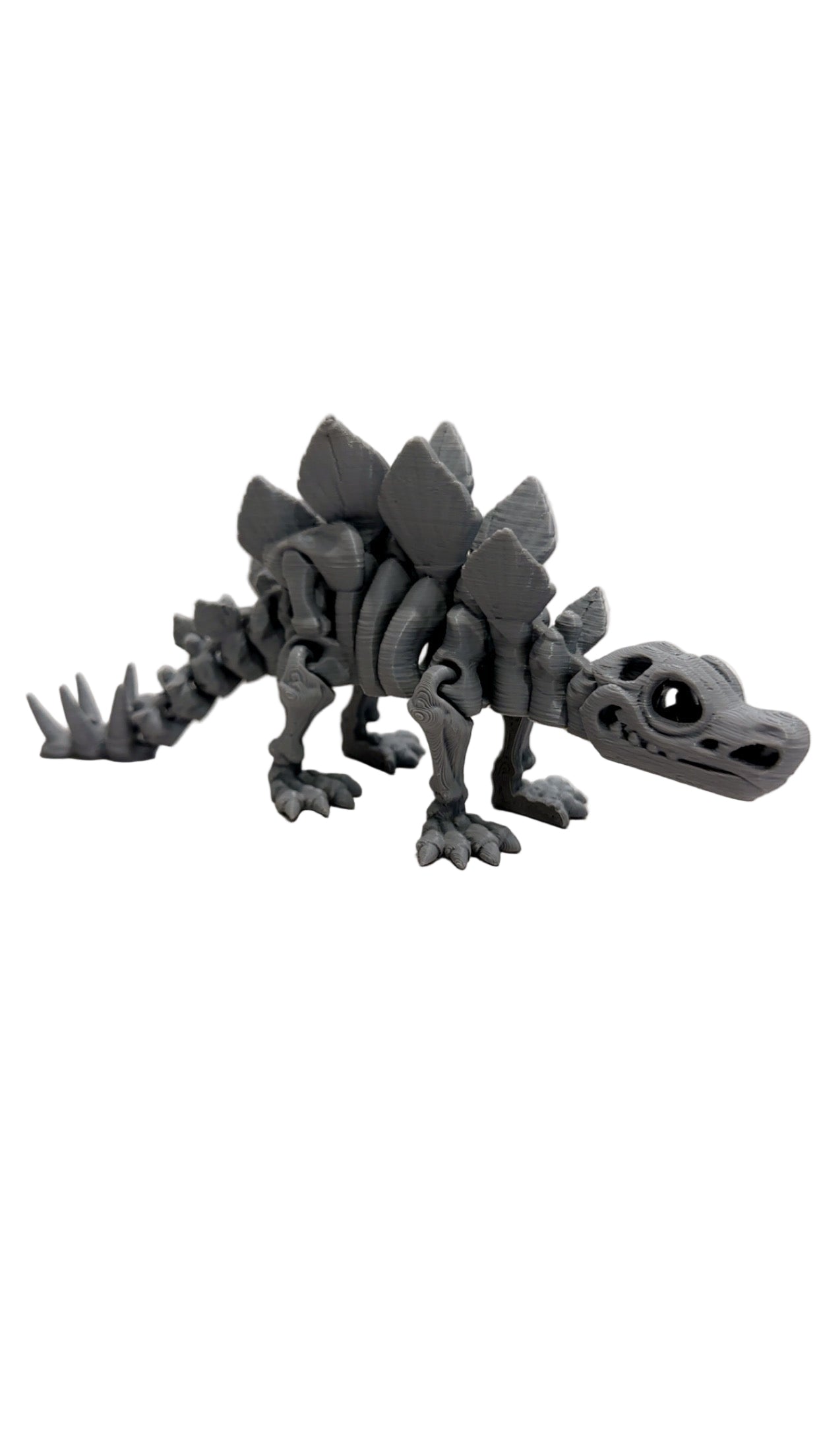 Skeleton Stegosaurus - Small