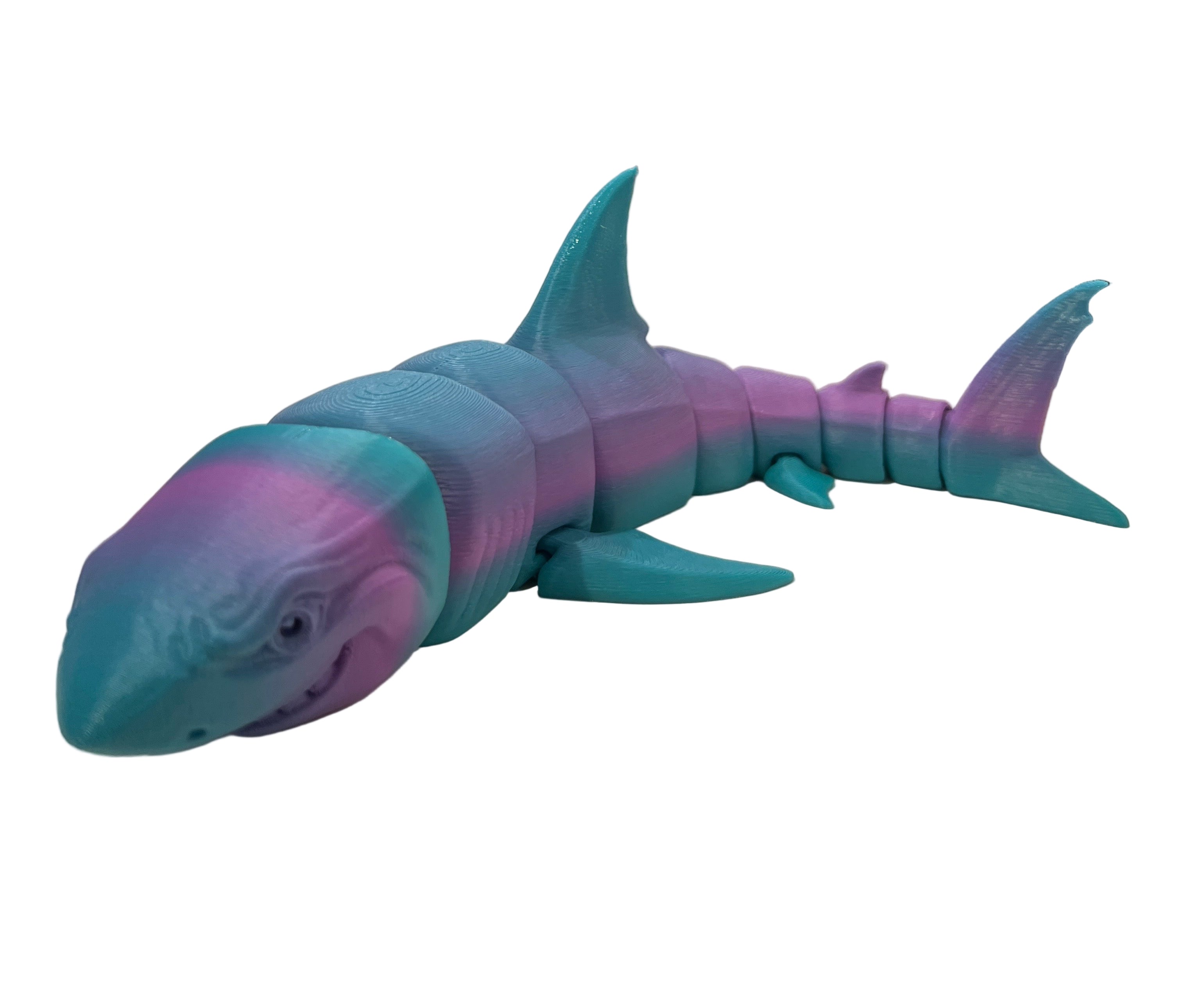 Great White Sharks - Large