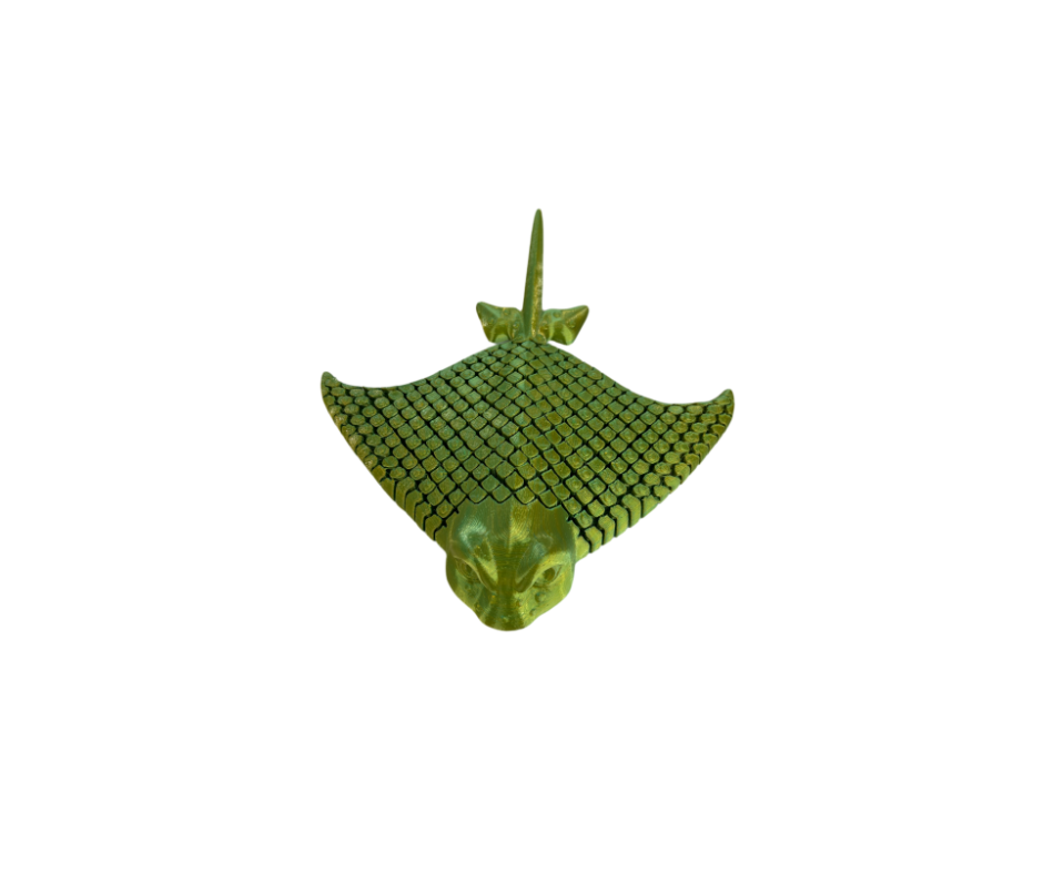 Stingrays (Large)