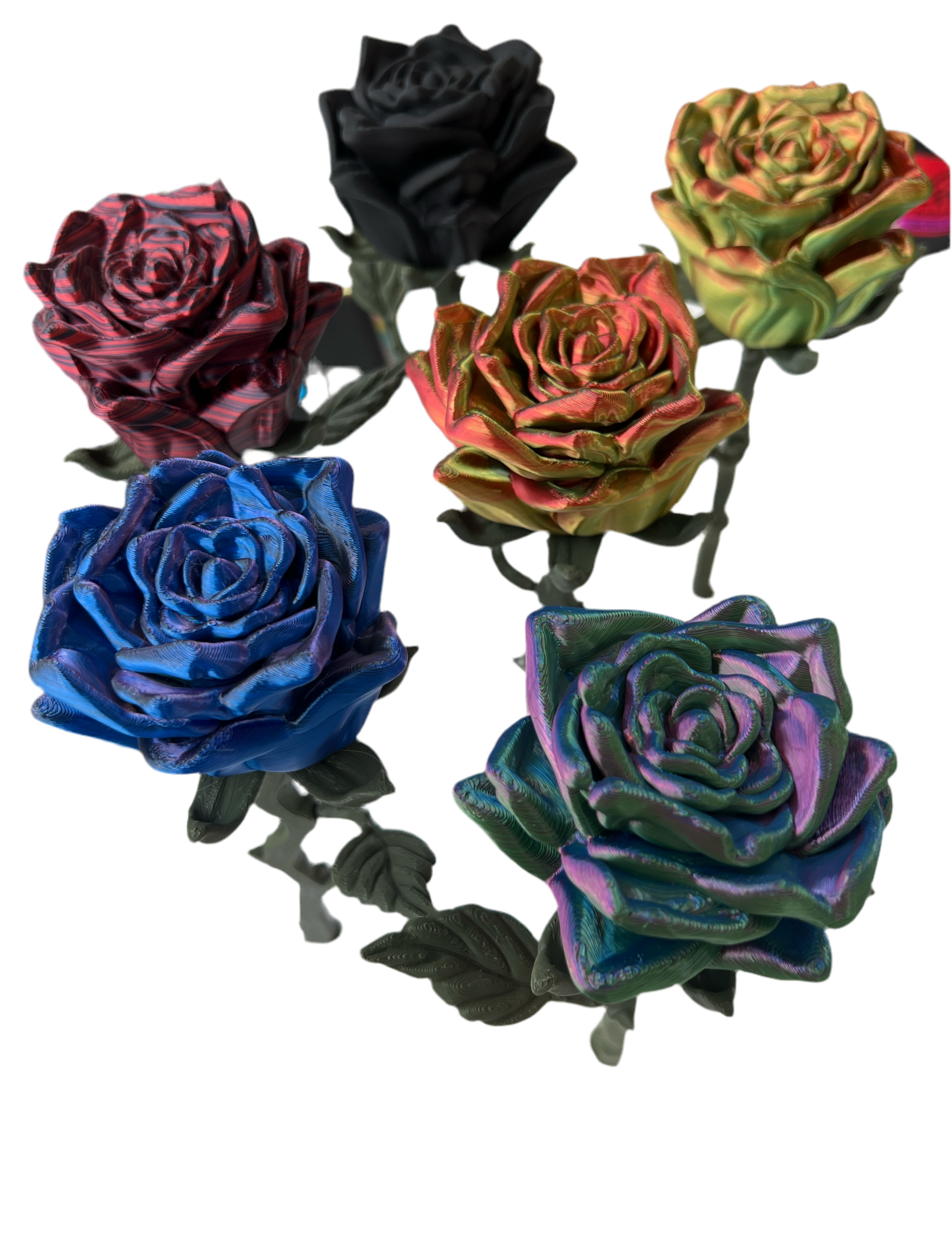 Valentines Roses