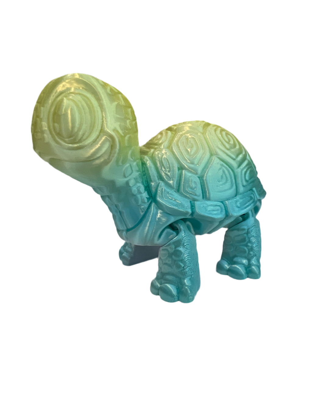 Turtle Blue Fire Cute Turtles – Blue Flame Creations