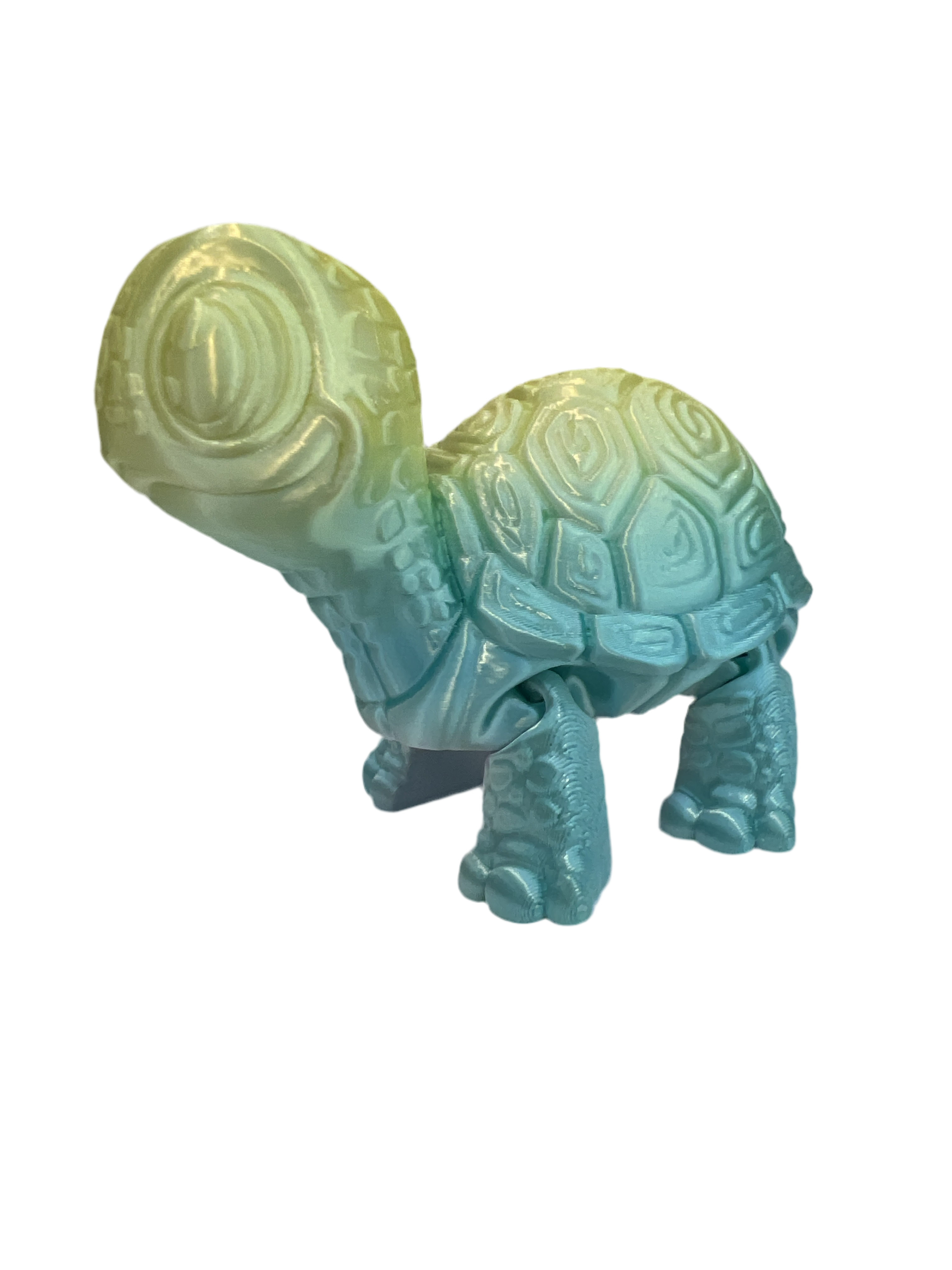 Cute Turtles