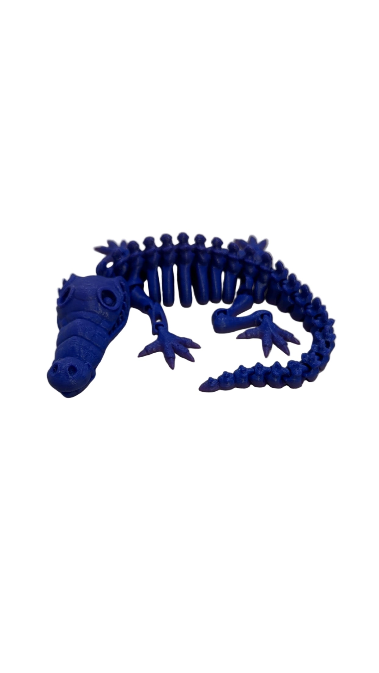 Skeleton Crocodiles