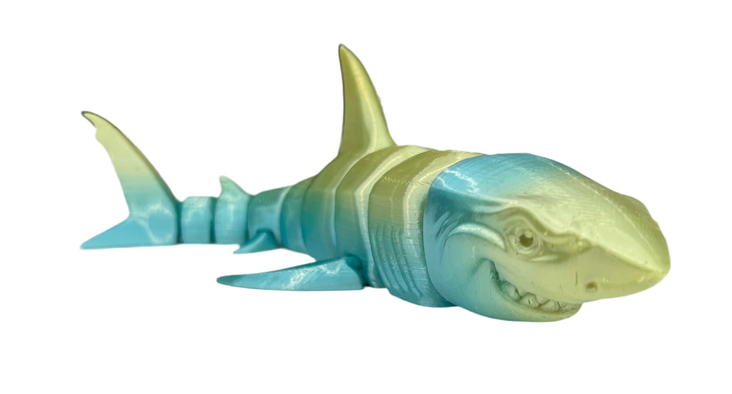 Great White Sharks