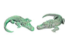Crocodiles