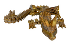 Wolf Dragons