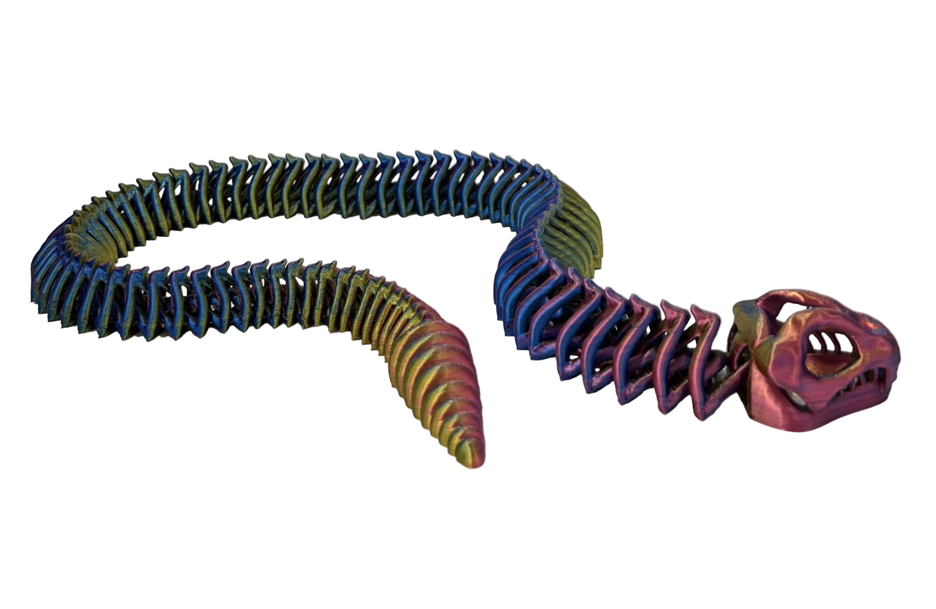 Skeleton Rattlesnake