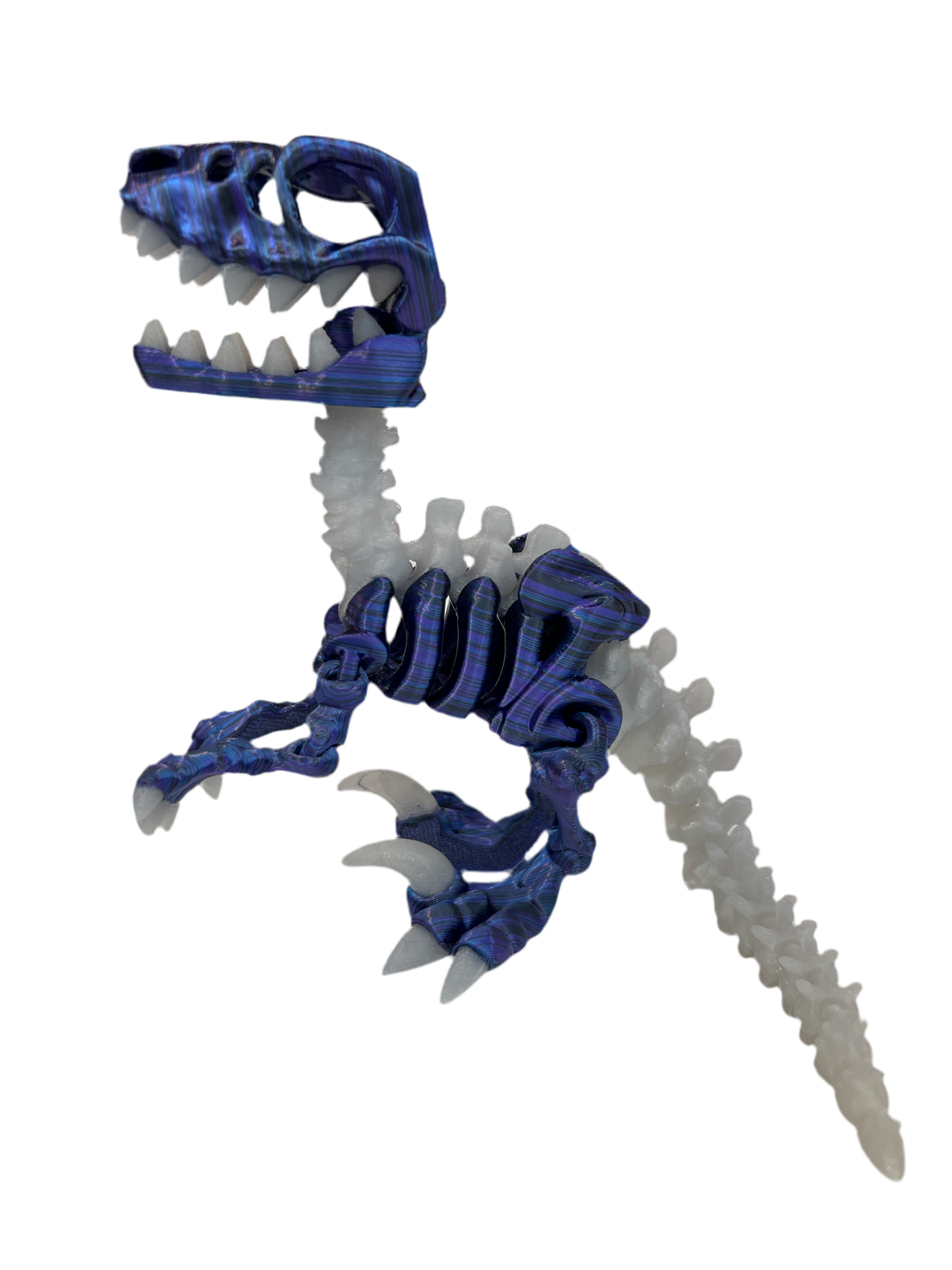 T - Rex Glow in the Dark Skeleton with Bone #8