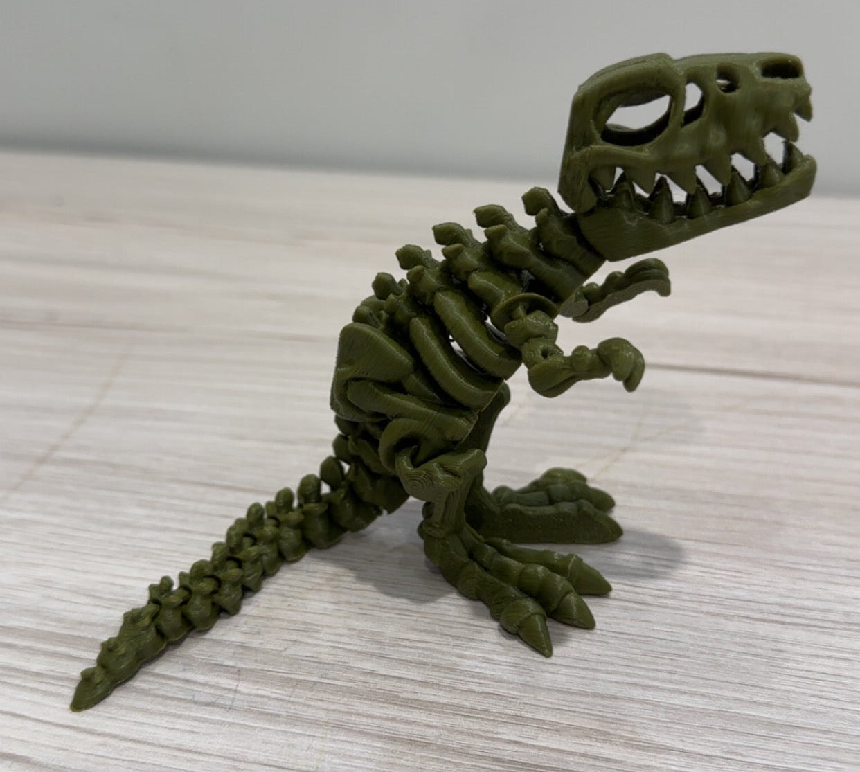 Skeleton Trex - Small