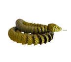 Snakes