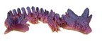 Axolotl Dragons