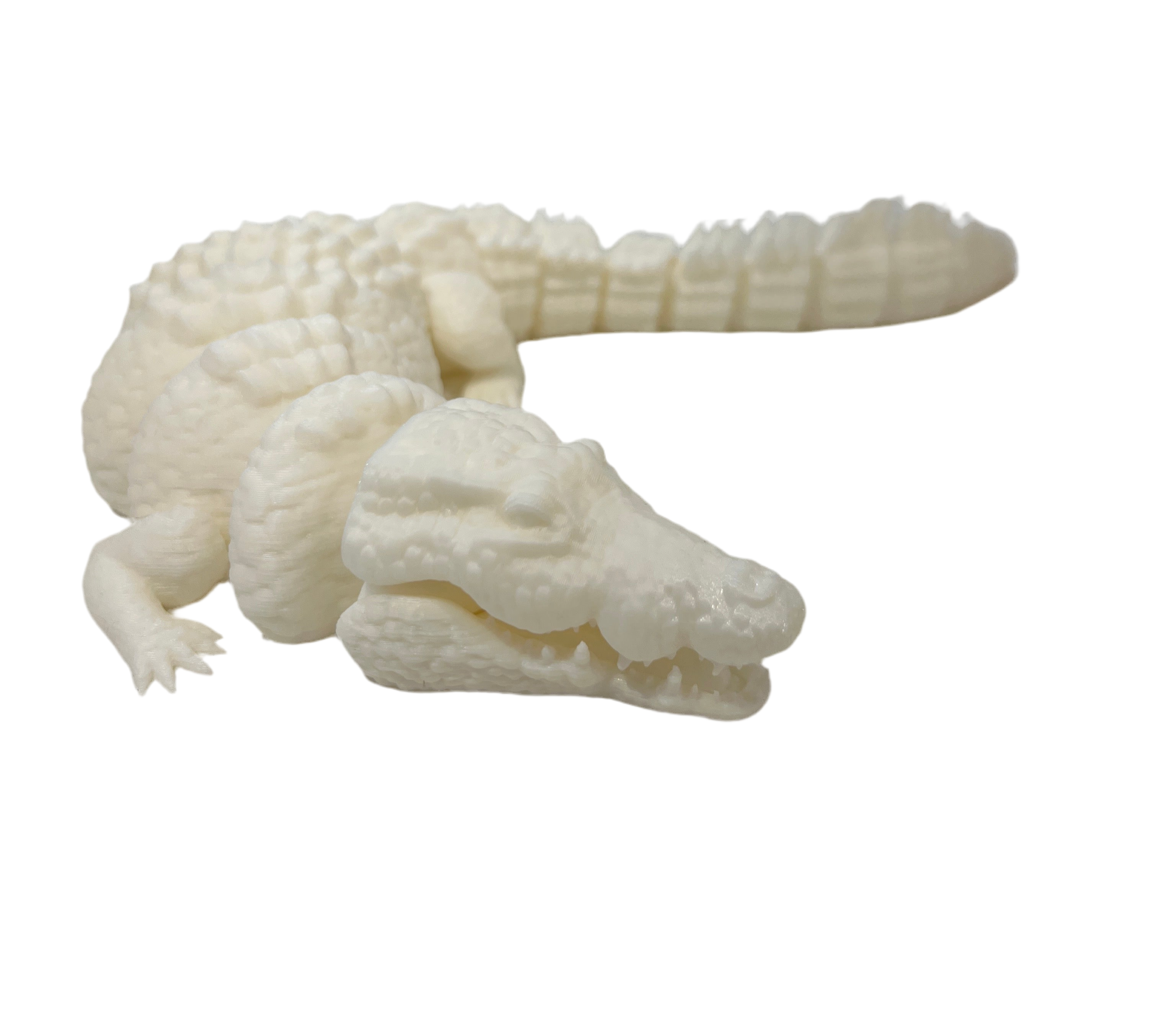 Crocodiles