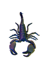 Scorpions - Large