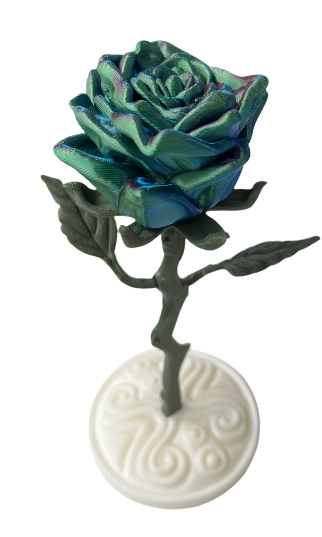 Valentines Roses