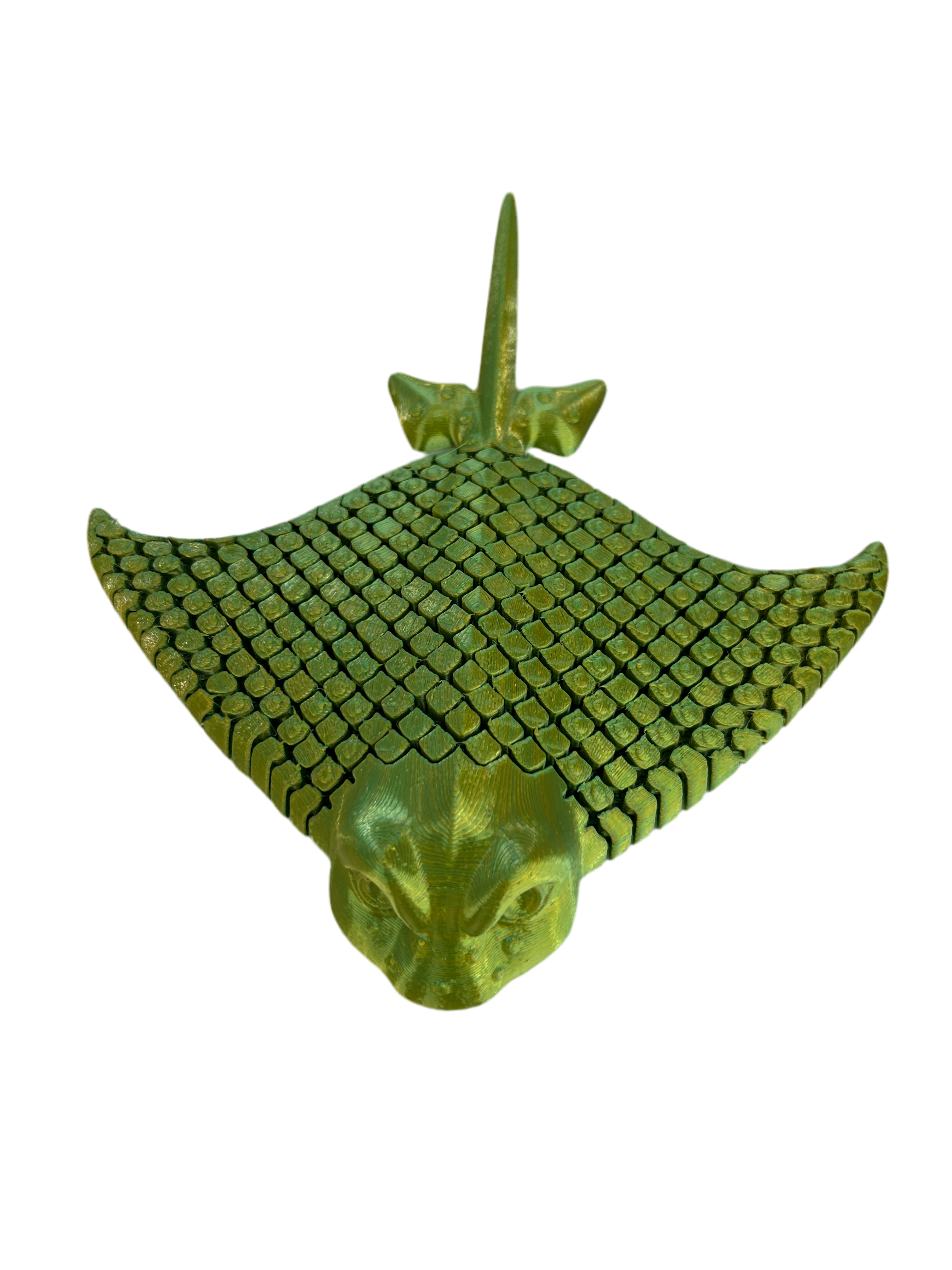 Stingrays (Large)