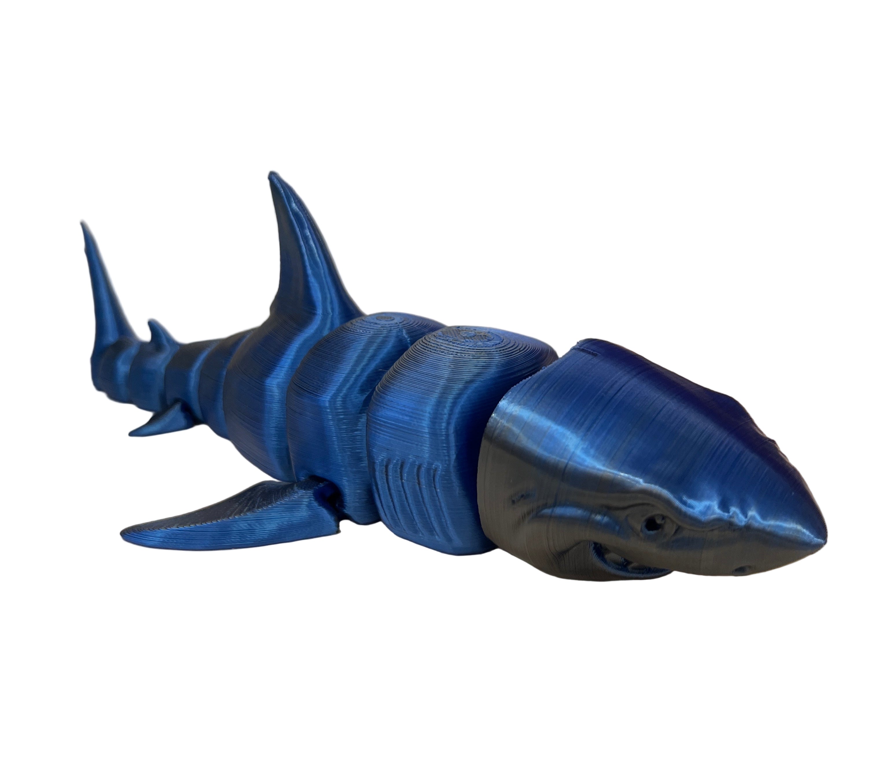 Great White Sharks - Medium