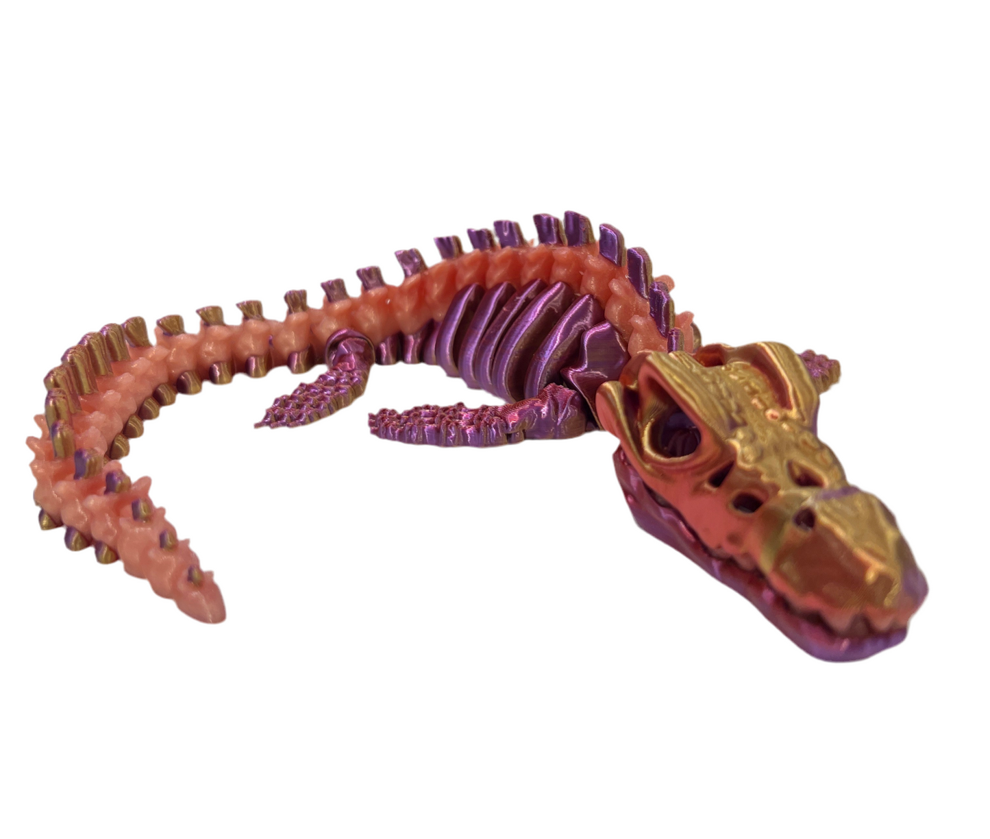Mosasaurus Skeleton