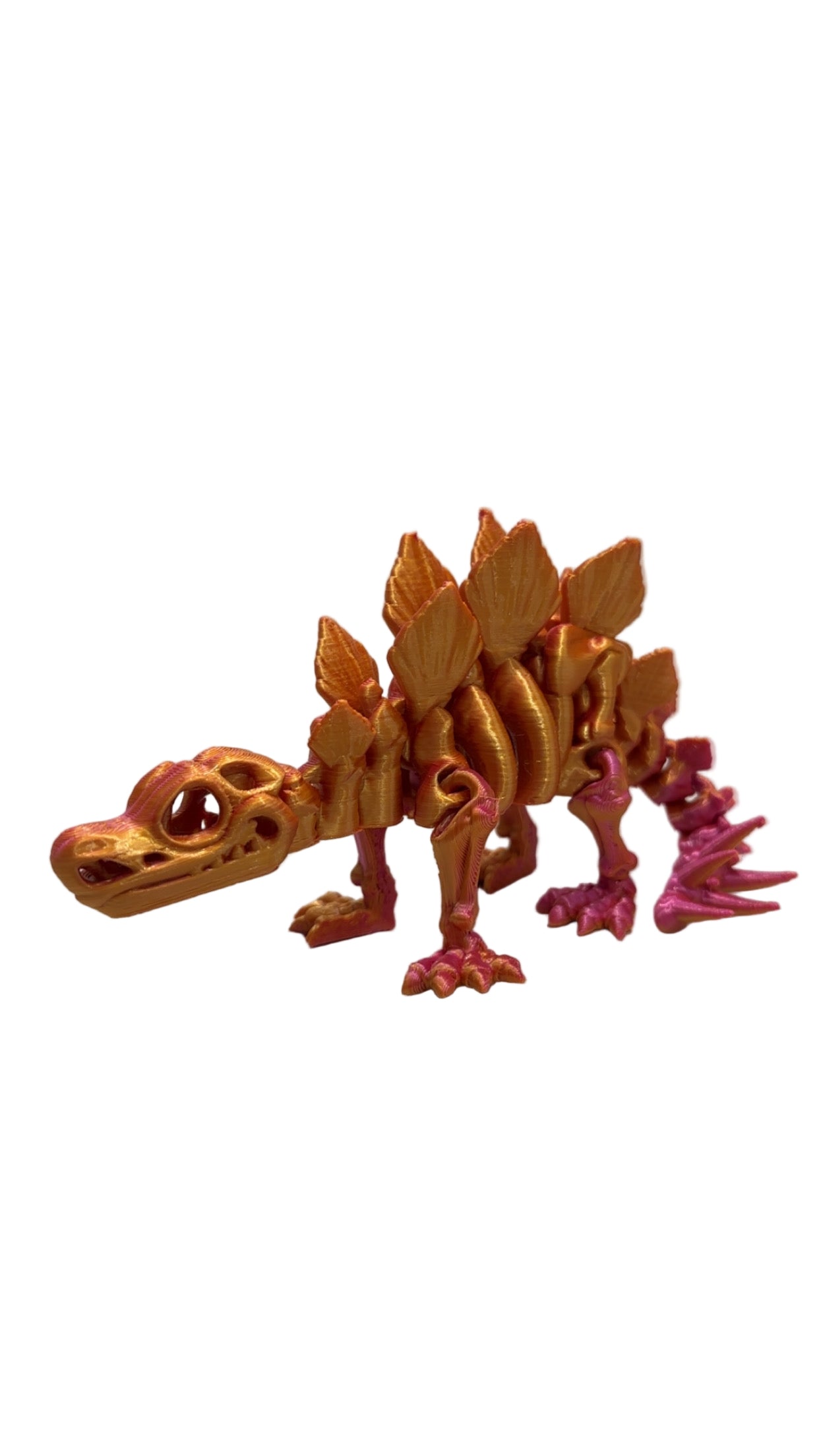 Skeleton Stegosaurus - Small