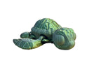 Sea Turtles