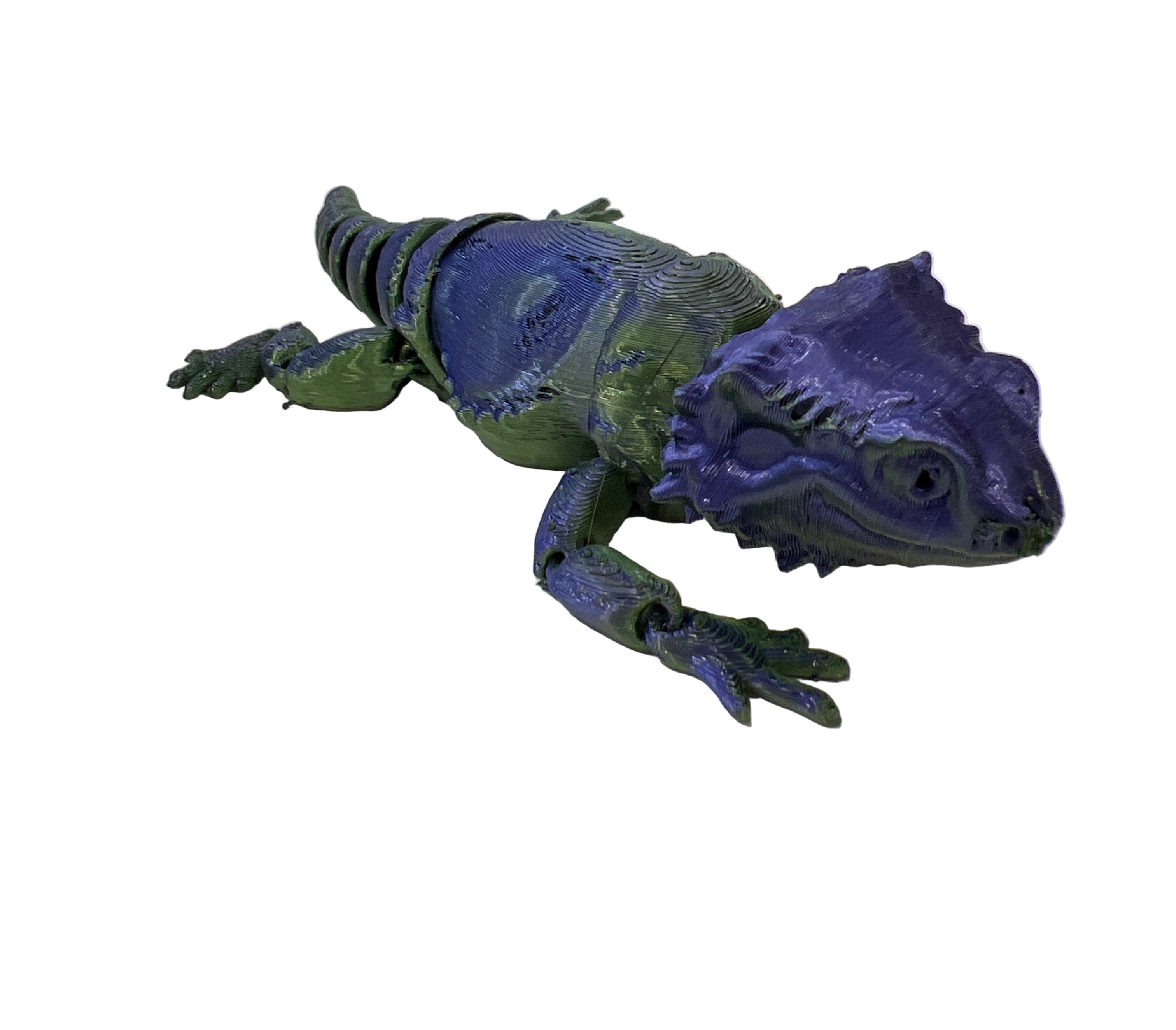 Baby Bearded Dragons