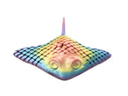 Stingrays - Small