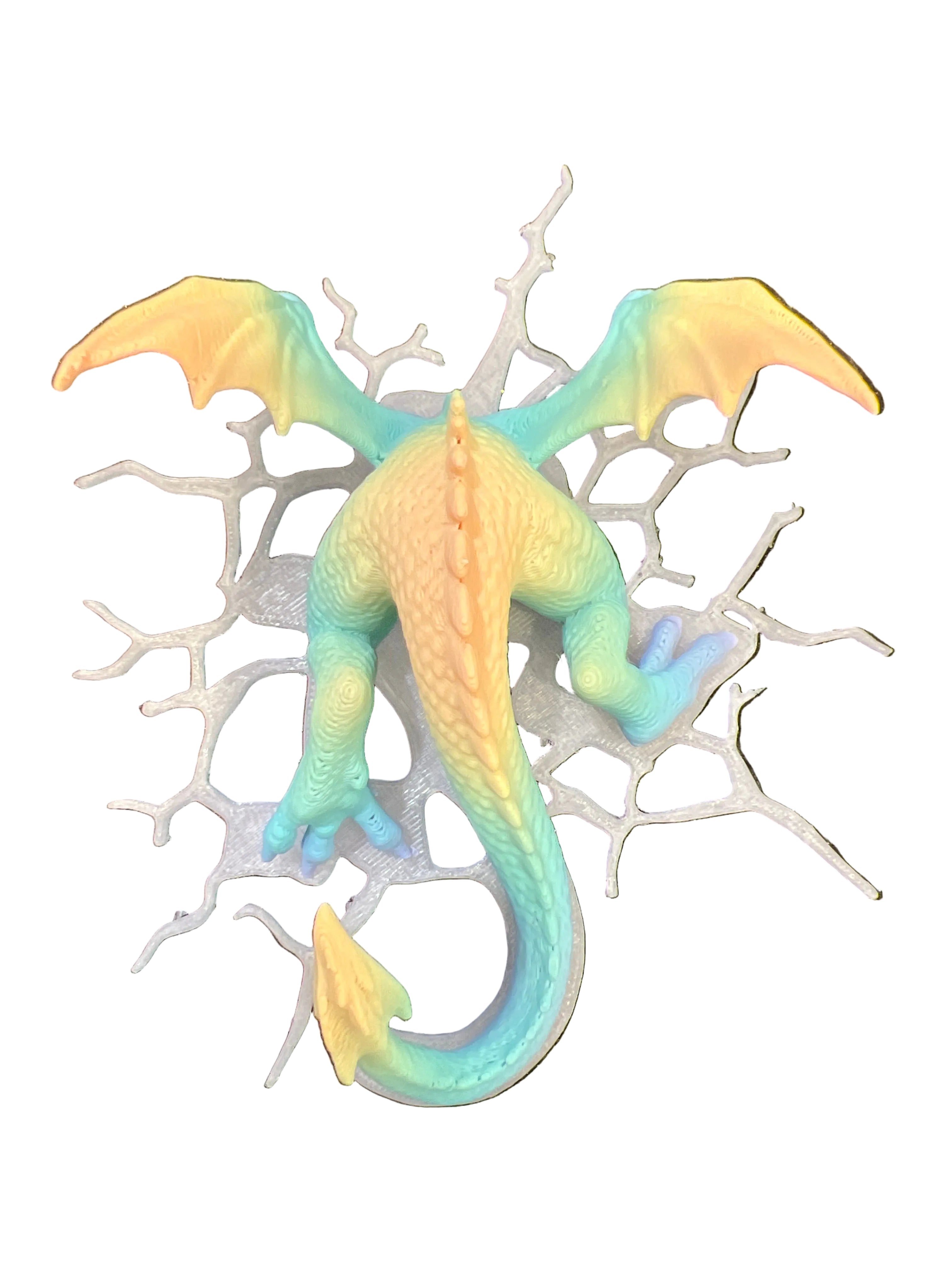 Splat Dragons