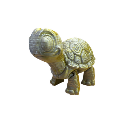 Cute Turtles