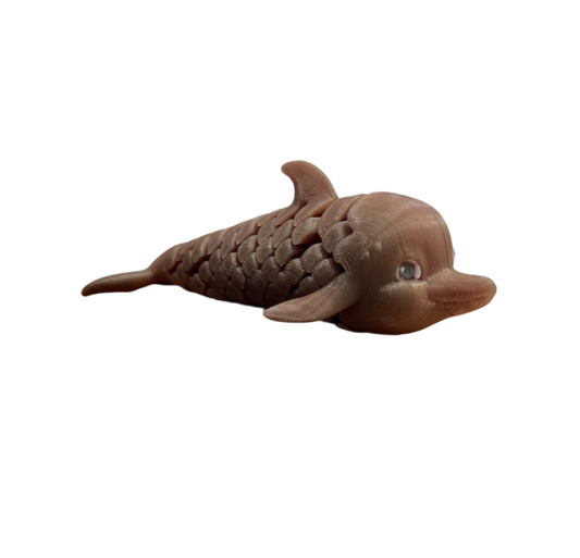 Dolphin