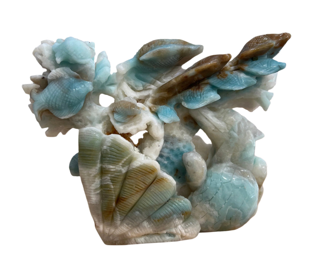 Caribbean Calcite Fish with Coral