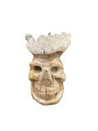 Clear Quartz Skull Head Cluster