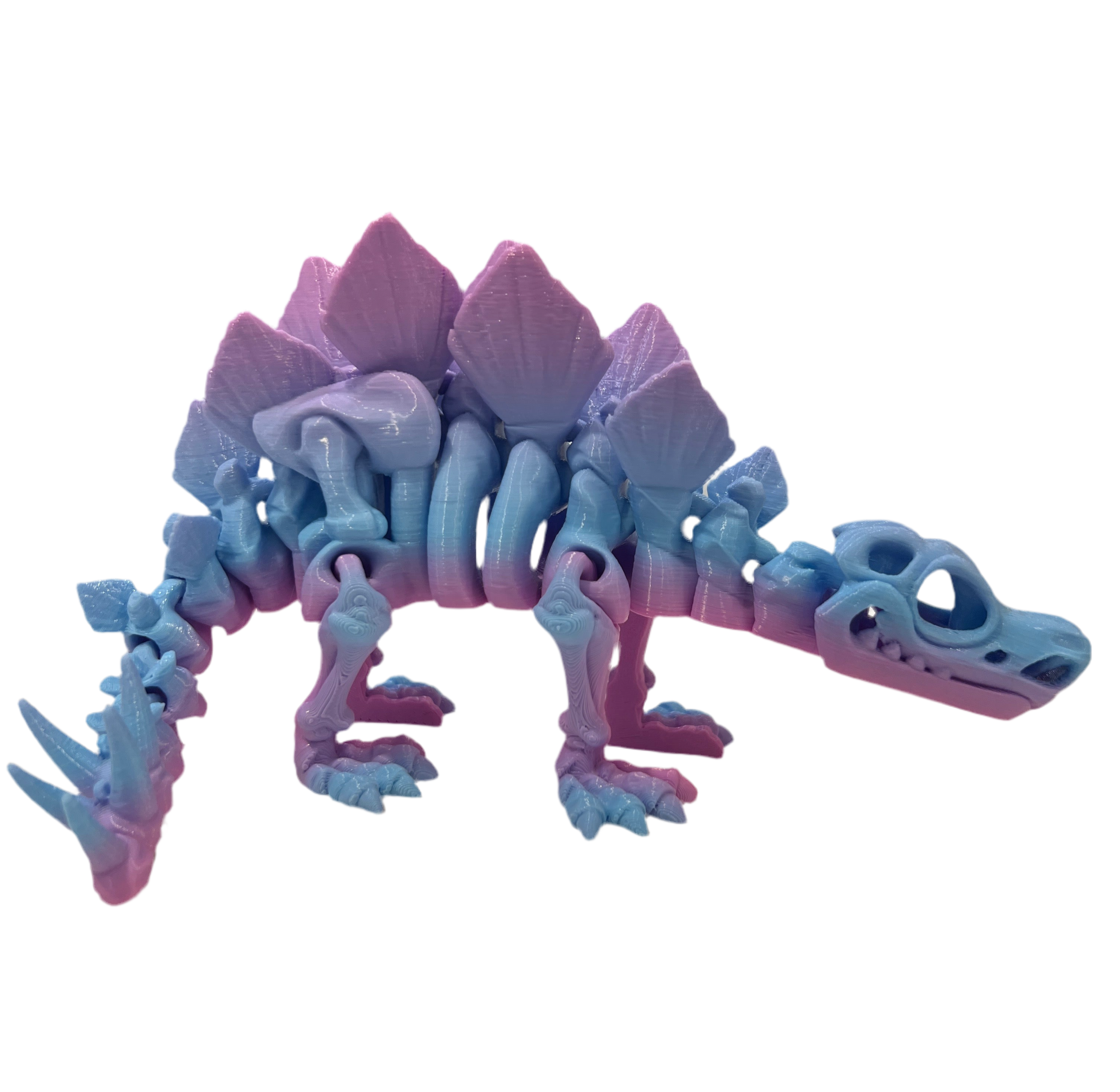 Stegosaurus