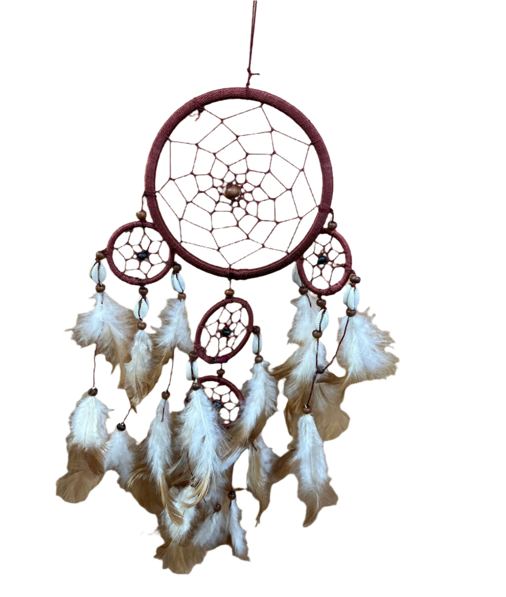 Dream Catchers - Shell